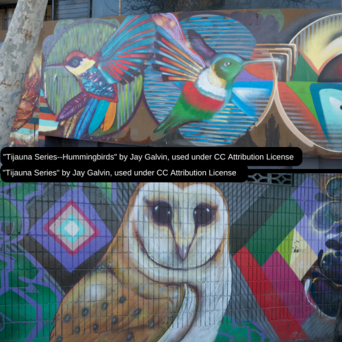 graffiti art images of owl and hummingbirds by Jay Galvin