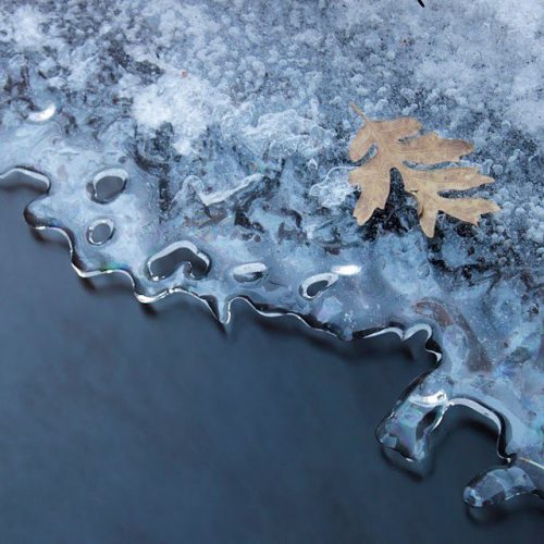 image of leaf in frozen water by Keith Howells
