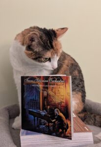 Photo of a CD with a calico cat sitting behind it