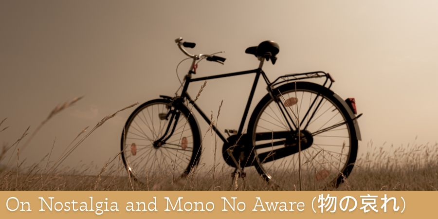 a bicycle standing in the foreground of a field with a hazy filter that creates a nostalgic feeling.