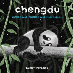 Chengdu Could Not, Would Not Fall Asleep by Saltzberg