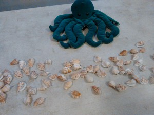 octopus and shells