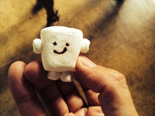 Adipose marshmallows for the Adipose Challenge. Photo by Brandon Schott